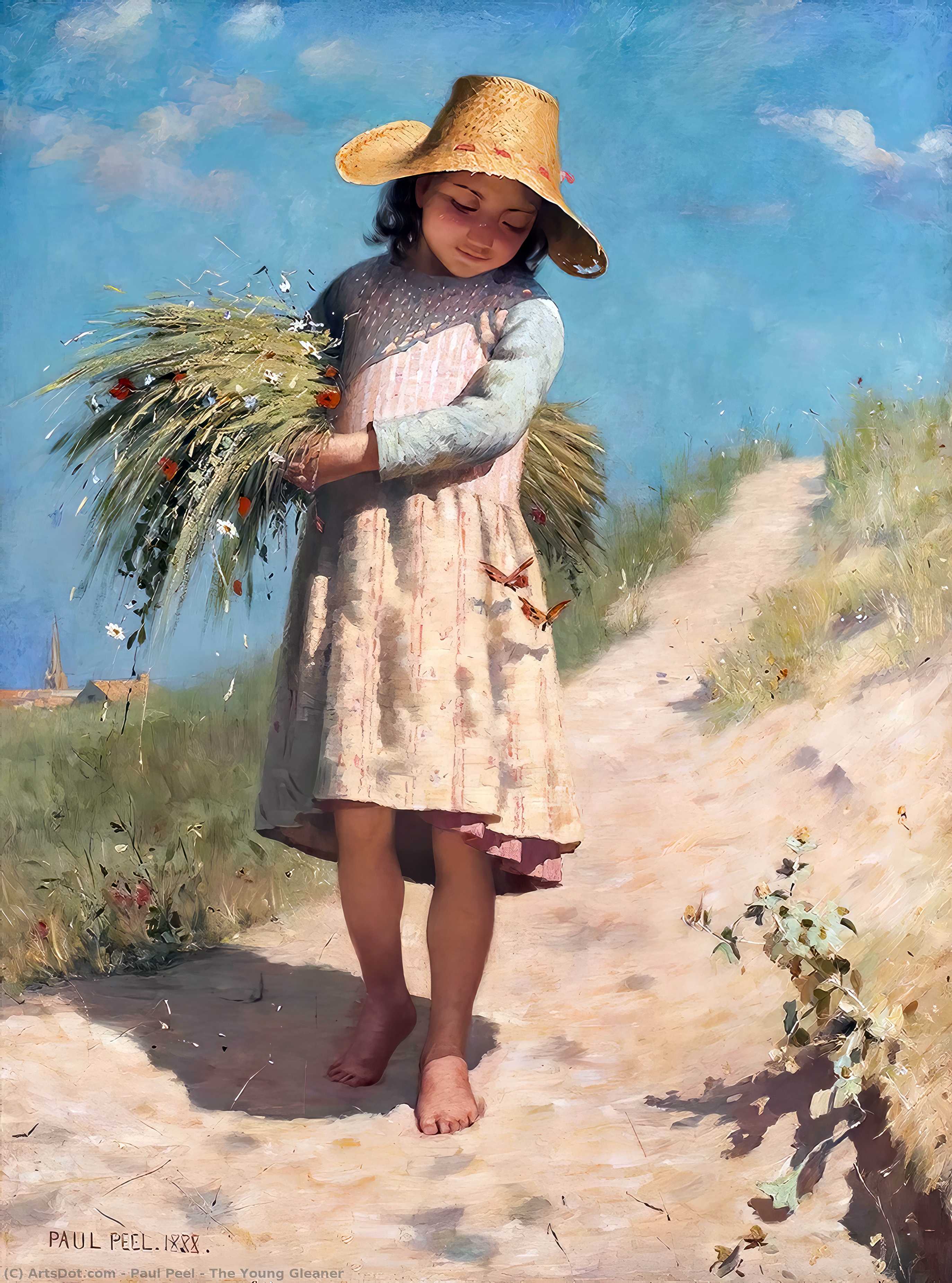  Art Reproductions The Young Gleaner, 1888 by Paul Peel (1860-1892, Canada) | ArtsDot.com