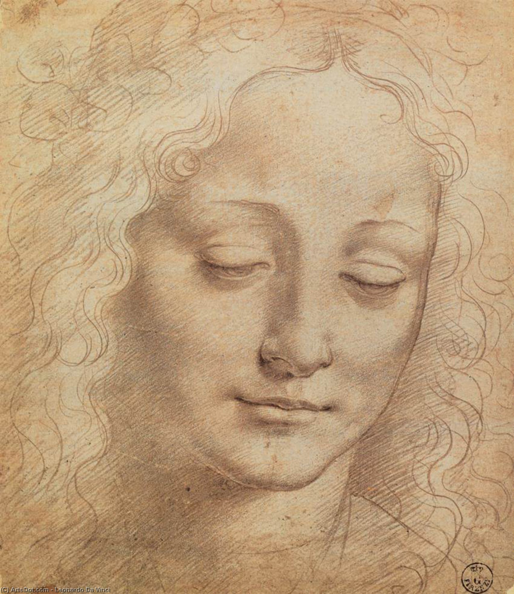  Artwork Replica Female Head by Leonardo Da Vinci (1452-1519, Italy) | ArtsDot.com