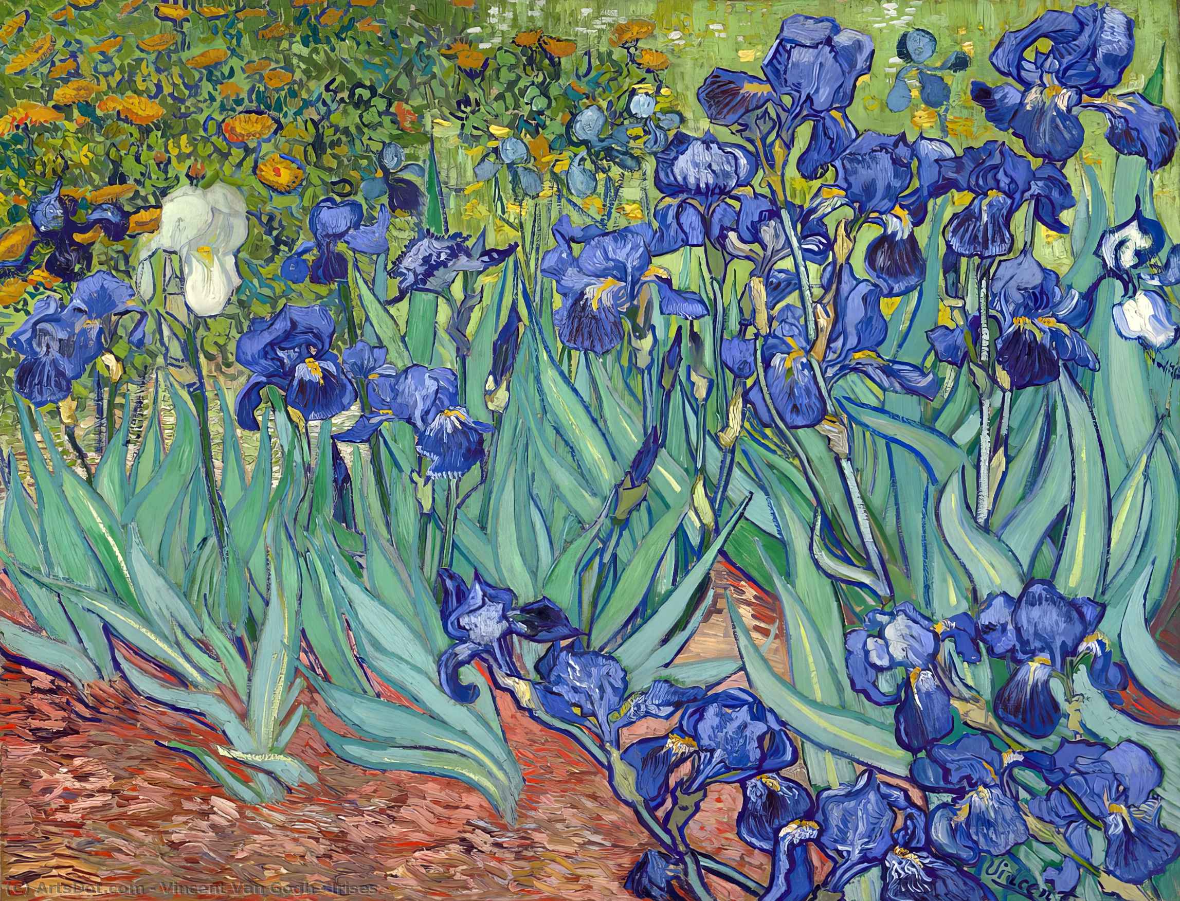  Paintings Reproductions Irises, 1889 by Vincent Van Gogh (1853-1890, Netherlands) | ArtsDot.com