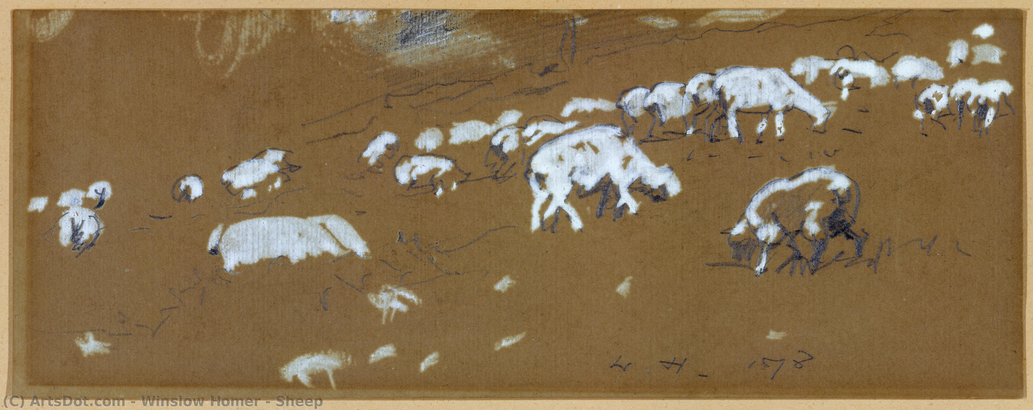 Artwork Replica Sheep, 1878 by Winslow Homer (1836-1910, United States) | ArtsDot.com