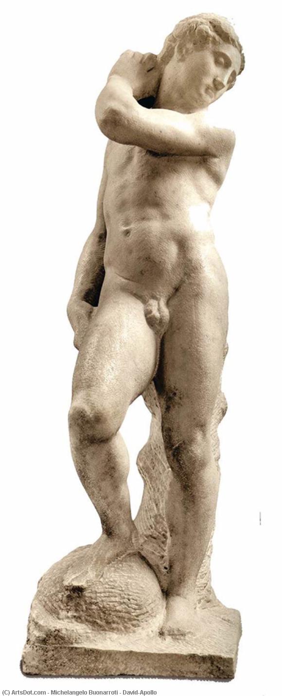  Paintings Reproductions David/Apollo, 1530 by Michelangelo Buonarroti (1475-1564, Italy) | ArtsDot.com