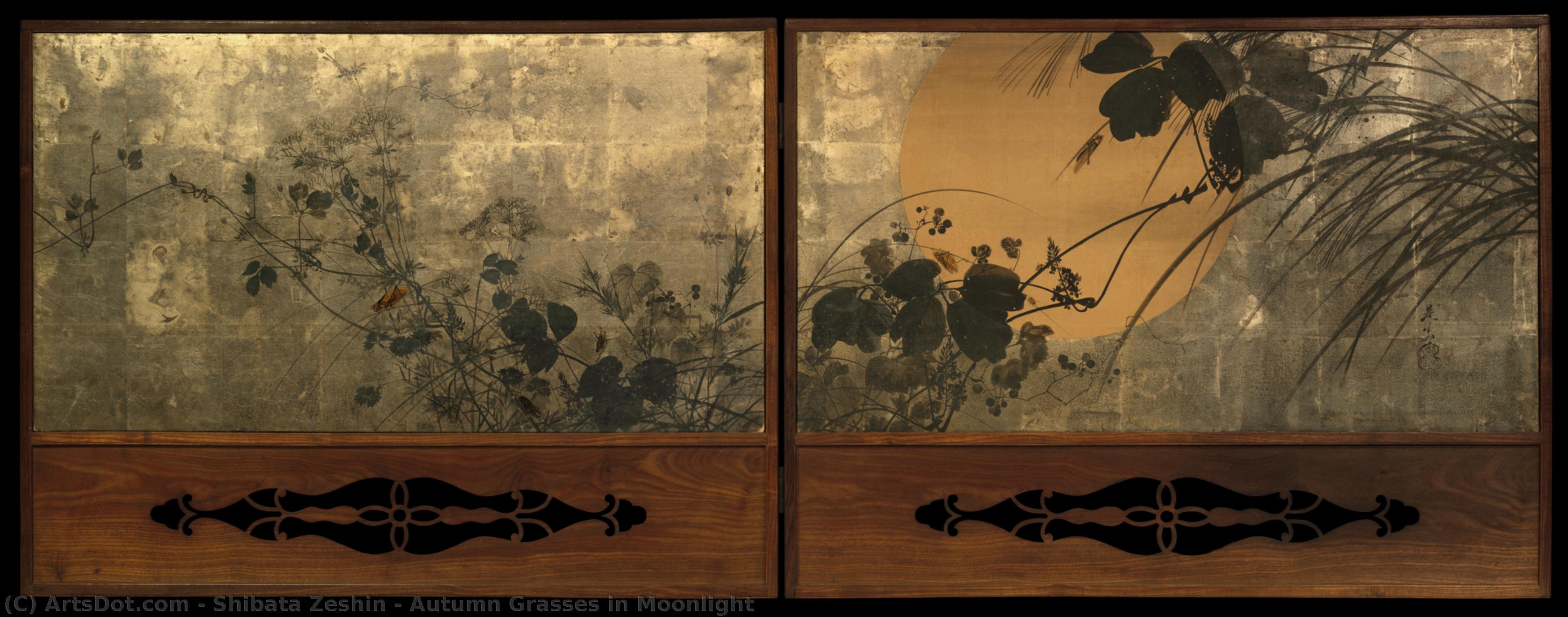  Paintings Reproductions Autumn Grasses in Moonlight, 801 by Shibata Zeshin (1807-1891) | ArtsDot.com