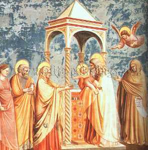 Giotto Di Bondone - Scrovegni - [19] - Presentation at the Temple