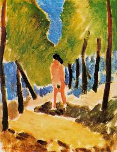 Henri Matisse - Nude in Sunlit Landscape