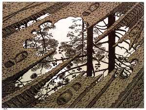 Maurits Cornelis Escher - PUDDLE