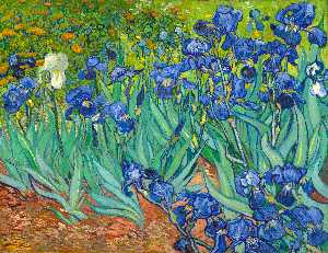 Vincent Van Gogh - Irises [1889] - (buy oil painting reproductions)