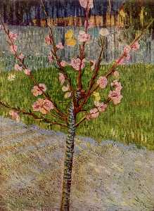 Vincent Van Gogh - Almond Tree in Blossom - (buy famous paintings)