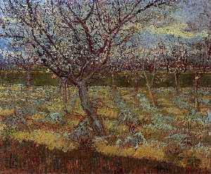 Vincent Van Gogh - Apricot Trees in Blossom 2