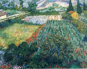 Vincent Van Gogh - Field with Poppies