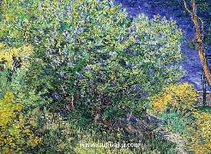 Vincent Van Gogh - Lilacs 2