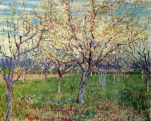 Vincent Van Gogh - Orchard with Blossoming Apricot Trees