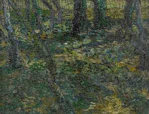 Vincent Van Gogh - Undergrowth