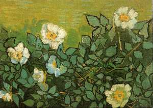 Vincent Van Gogh - Wild Roses