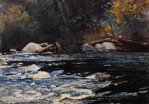 Winslow Homer - The Rapids, Husdon River, Adirondacks