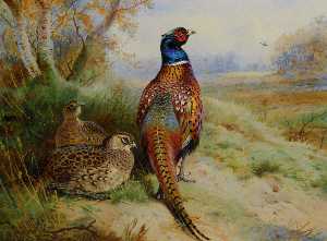 Archibald Thorburn - Cock And Hen Pheasant At The Edge Of A Wood