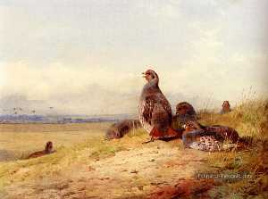 Archibald Thorburn - Red Partridges