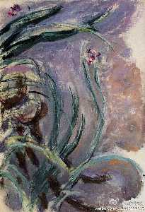 Claude Monet - Irises
