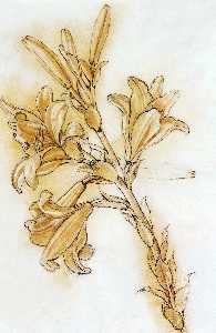 Leonardo Da Vinci - Lily (detail)