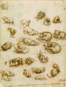Leonardo Da Vinci - Study sheet with cats, dragon and other animals