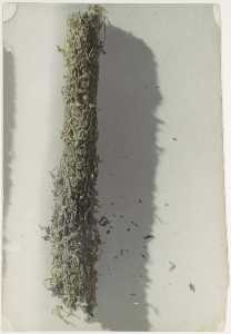 Marcel Duchamp - Cigarette