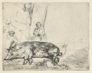 Rembrandt Van Rijn - The Hog