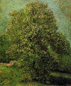 Vincent Van Gogh - Chestnut Tree in Bloom