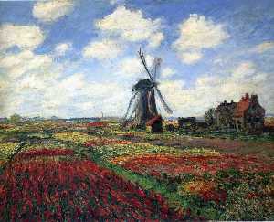 Claude Monet - Field of Tulips in Holland