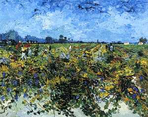 Vincent Van Gogh - The Green Vinyard