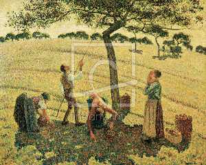 Camille Pissarro - Apple Picking at Eragny-sur-Epte