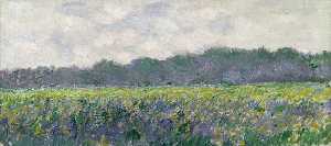 Claude Monet - Field of Yellow Irises at Giverny