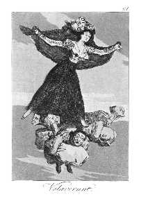 Francisco De Goya - They have flown