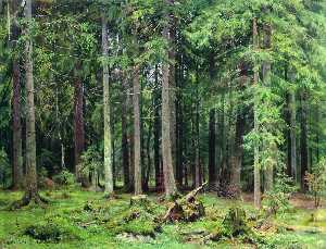 Ivan Ivanovich Shishkin - Forest in Mordvinovo
