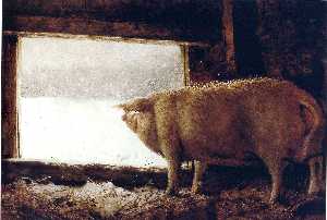 Jamie Wyeth - Winter Pig