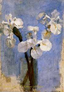 Piet Mondrian - Flowers Sun
