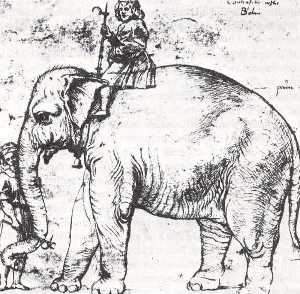 Raphael (Raffaello Sanzio Da Urbino) - Hanno, The Pope’s Leo X Elephant