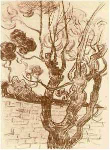 Vincent Van Gogh - Treetop Seen against the Wall of the Asylum