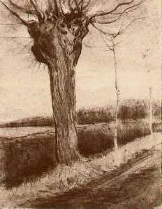 Vincent Van Gogh - Pollard Willow