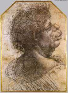 Leonardo Da Vinci - Grotesque head