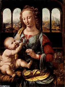 Leonardo Da Vinci - The Madonna of the Carnation