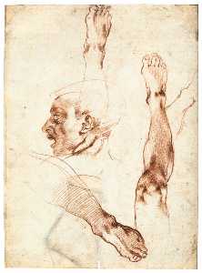Michelangelo Buonarroti - Male Head in Profile and Leg Studies (recto)