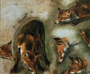Boel Pieter (Boule) - Studies of a Fox