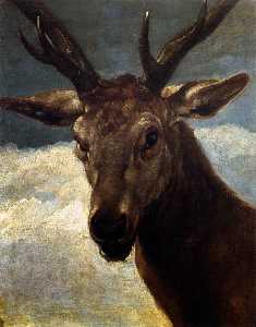 Diego Velazquez - Head of a Stag