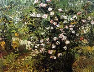 Vincent Van Gogh - Rosebush i Blossom - (Buy fine Art Reproductions)