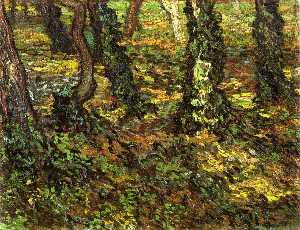 Vincent Van Gogh - Tree Trunks with Ivy