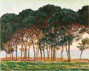 Claude Monet - Under the Pine Trees at the End of the Day