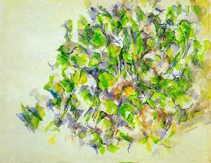 Paul Cezanne - Foliage,1896-1900, moma ny