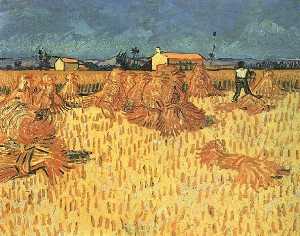 Vincent Van Gogh - Recoltes en Provence