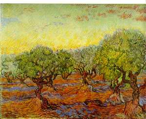 Vincent Van Gogh - Olivlund, F.586, JH Göteborgs