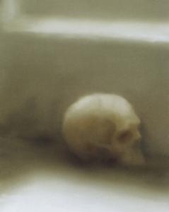 Gerhard Richter - Skull