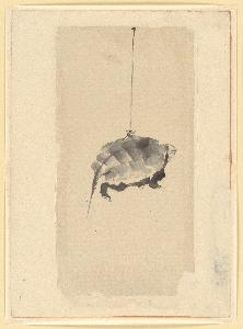 Katsushika Hokusai - Tortoise Suspended By String